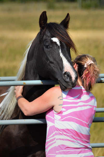 Specialist In Colour (Champs Reflexion x Sky View Dotty) double homozygous black tobiano stallion